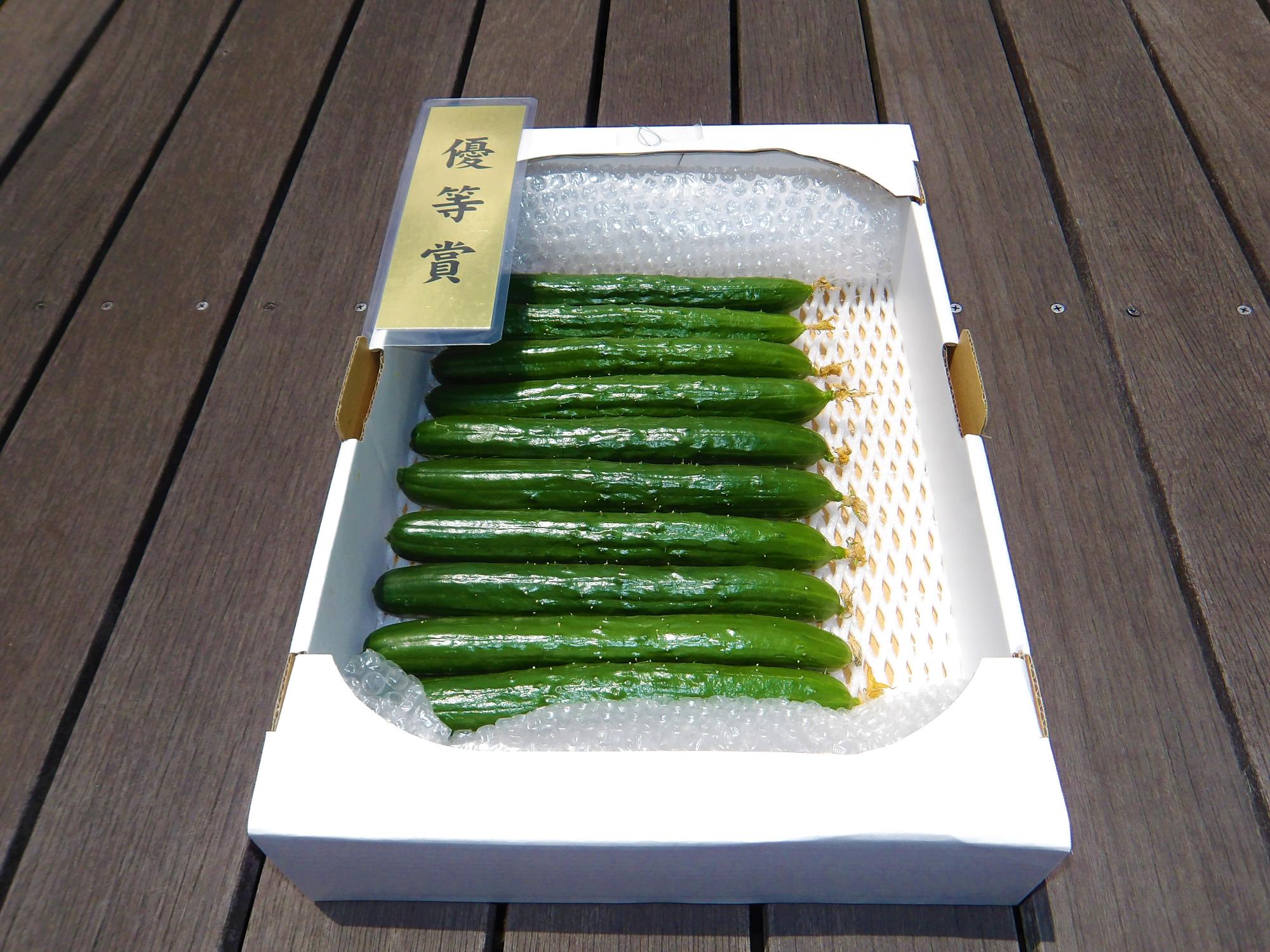優等賞を取ったきゅうりの写真