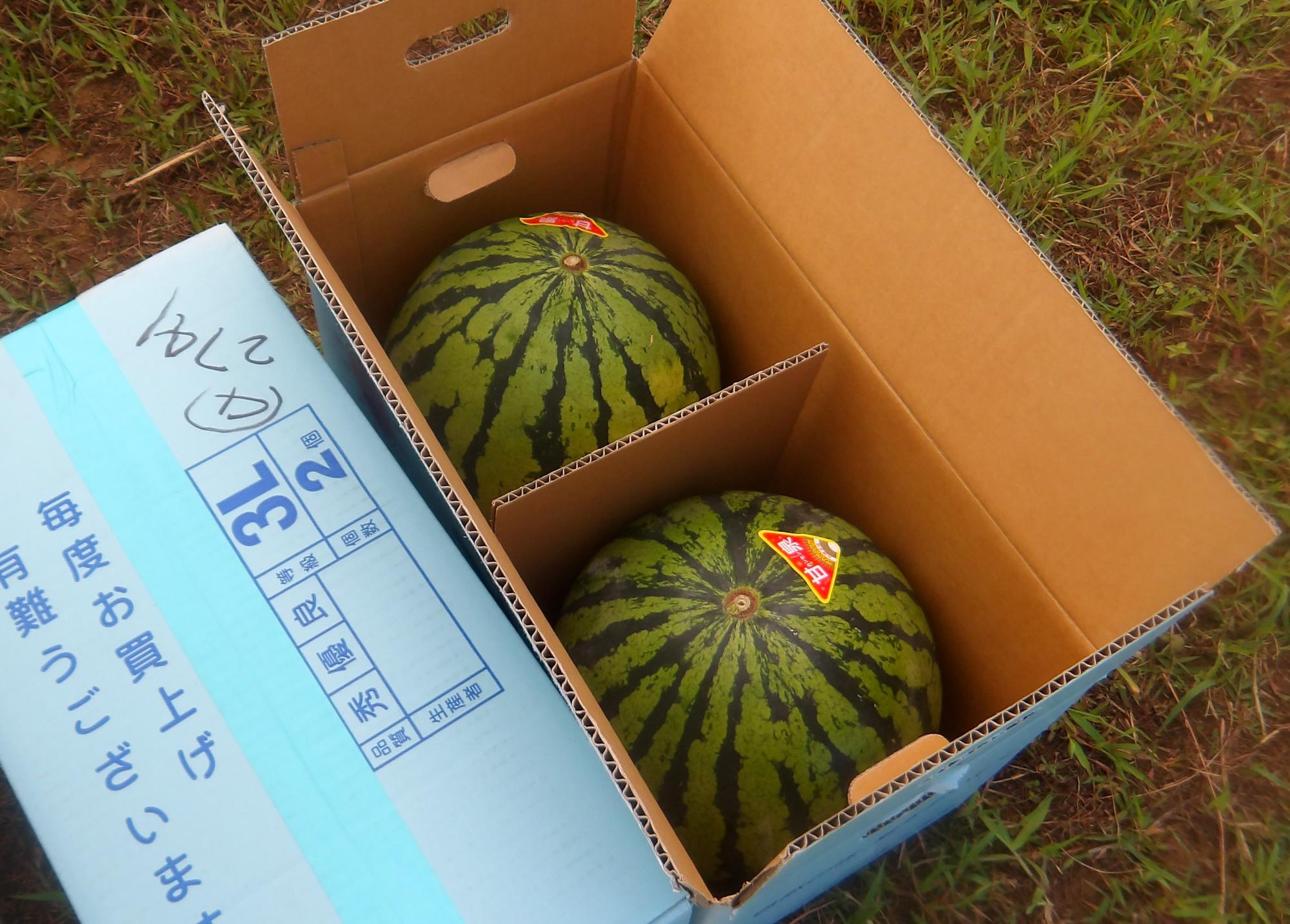 すいか