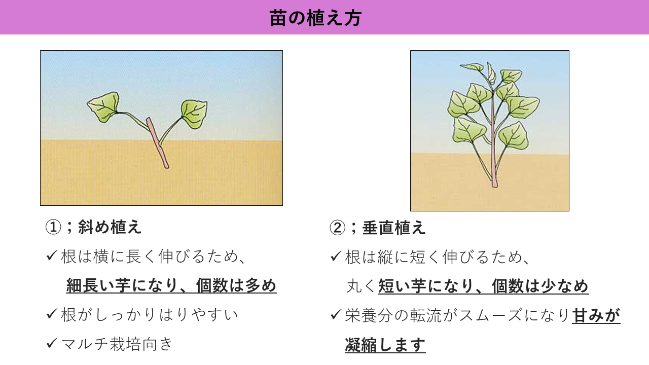 naenouekata