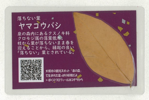 受験生応援グリーティングカード裏