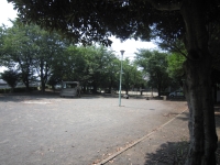 緑の木々の中心に駐車場がある宮久保2号公園の写真