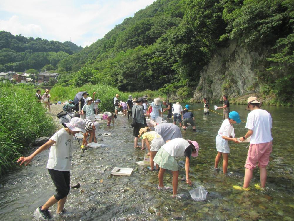 中津川での水生生物調査