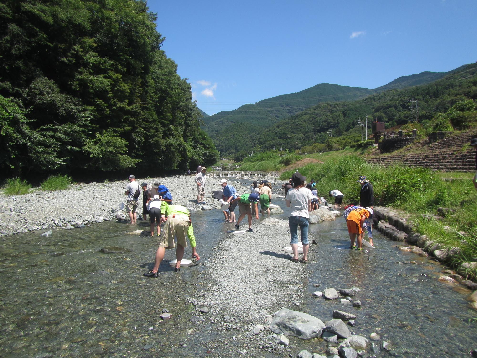 中津川での水生生物調査