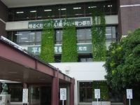大和市役所に緑のカーテンを設置した窓面（壁面）の写真