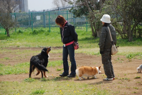 ドッグランで遊んでいる2匹の犬と2人の飼い主の写真