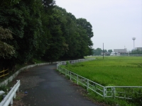 右手に芝生の緑地入り口から整備されていない散策道を写した写真