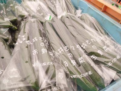 ハウスきゅうり
