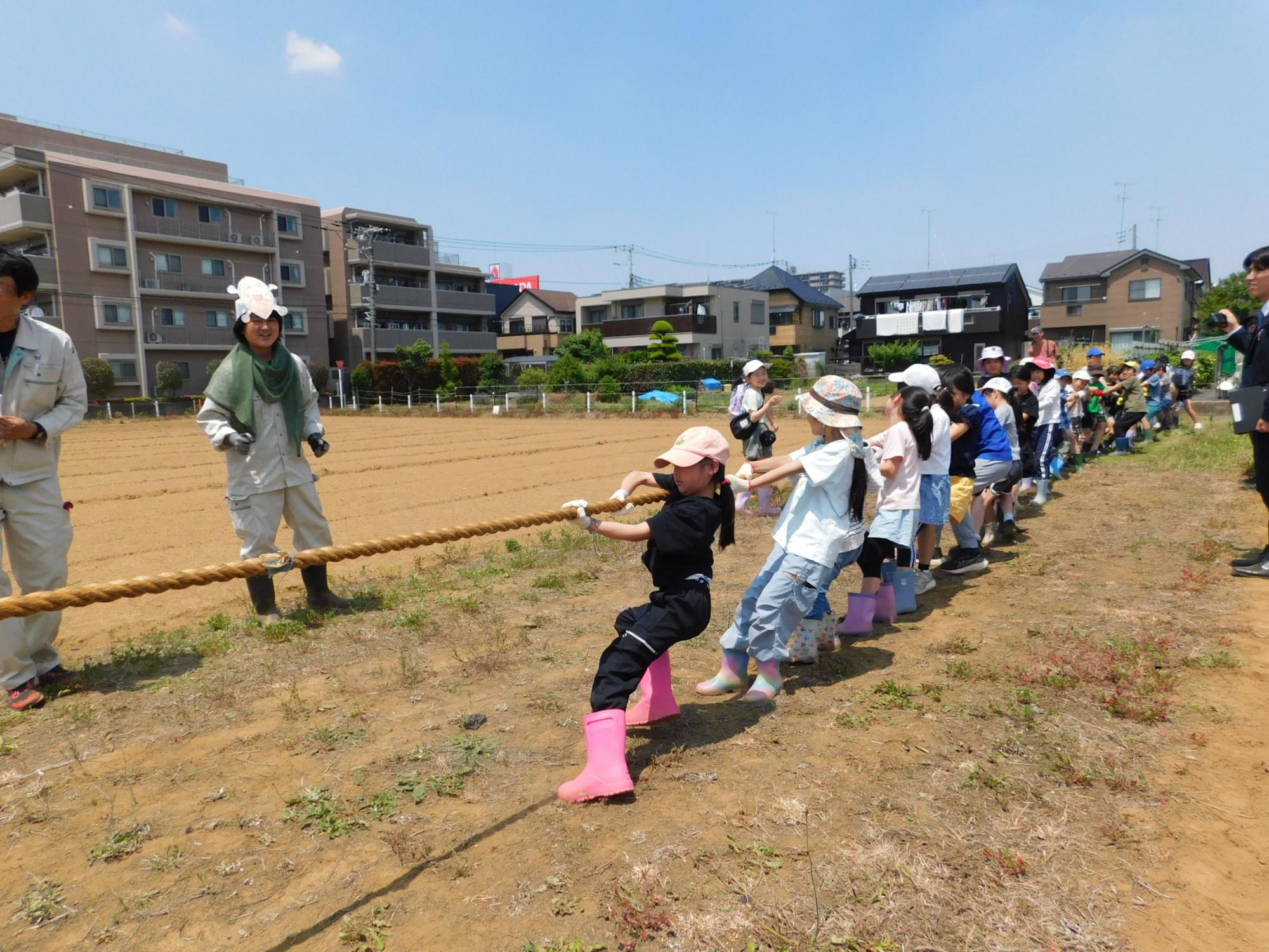 綱引き大会2
