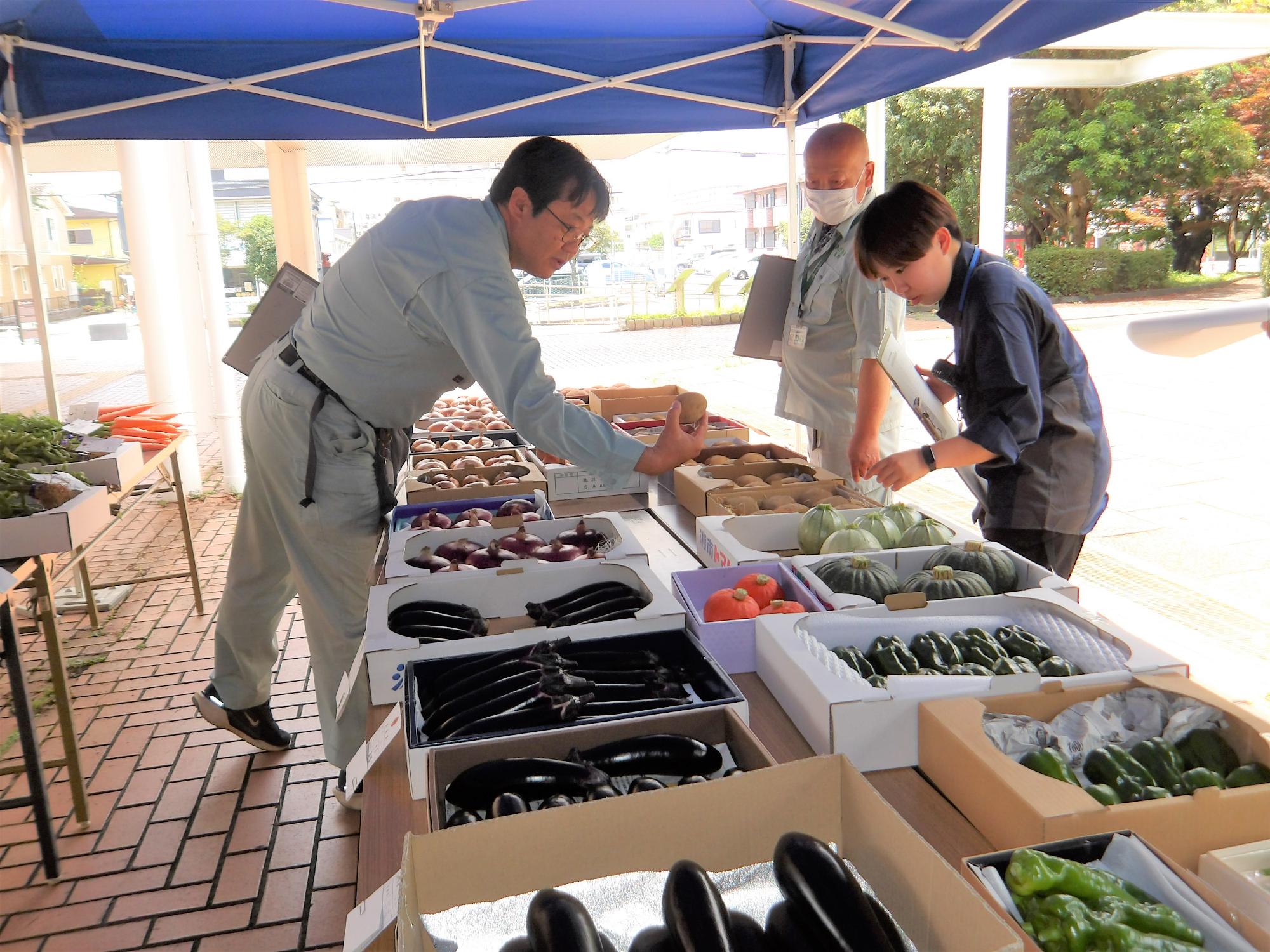 たくさんの箱に入った野菜を3名の審査員が見ている写真