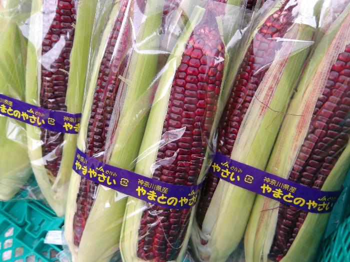 大和ルージュ