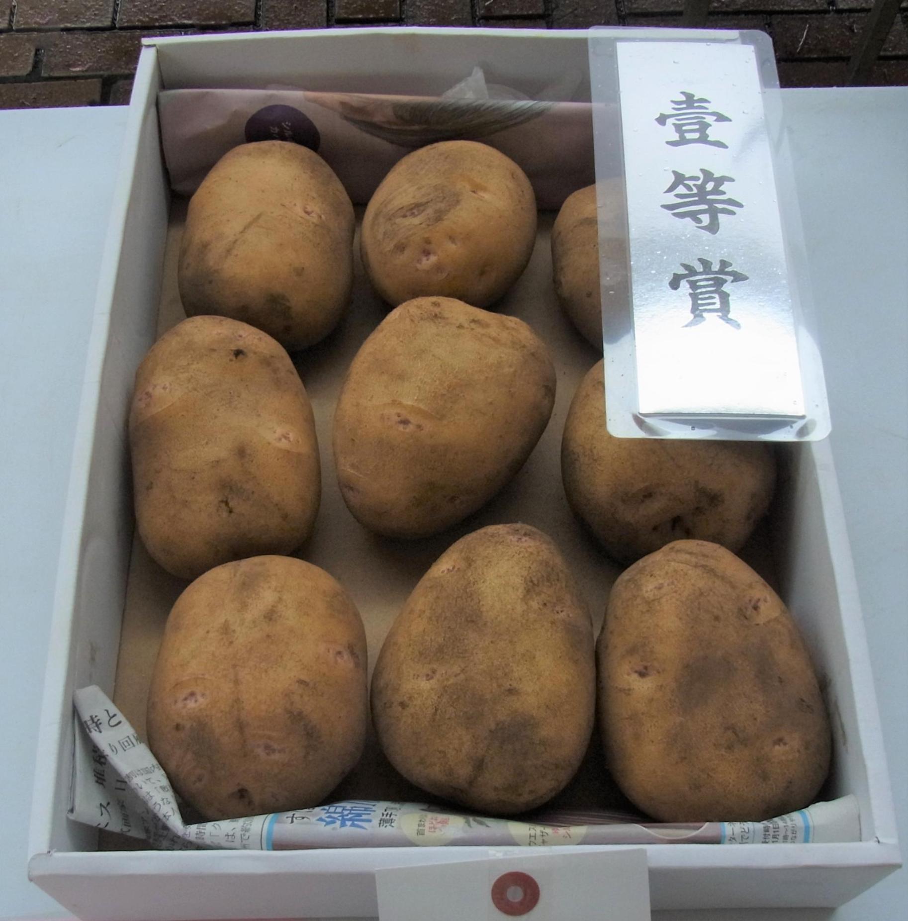 一等賞を取ったじゃがいも