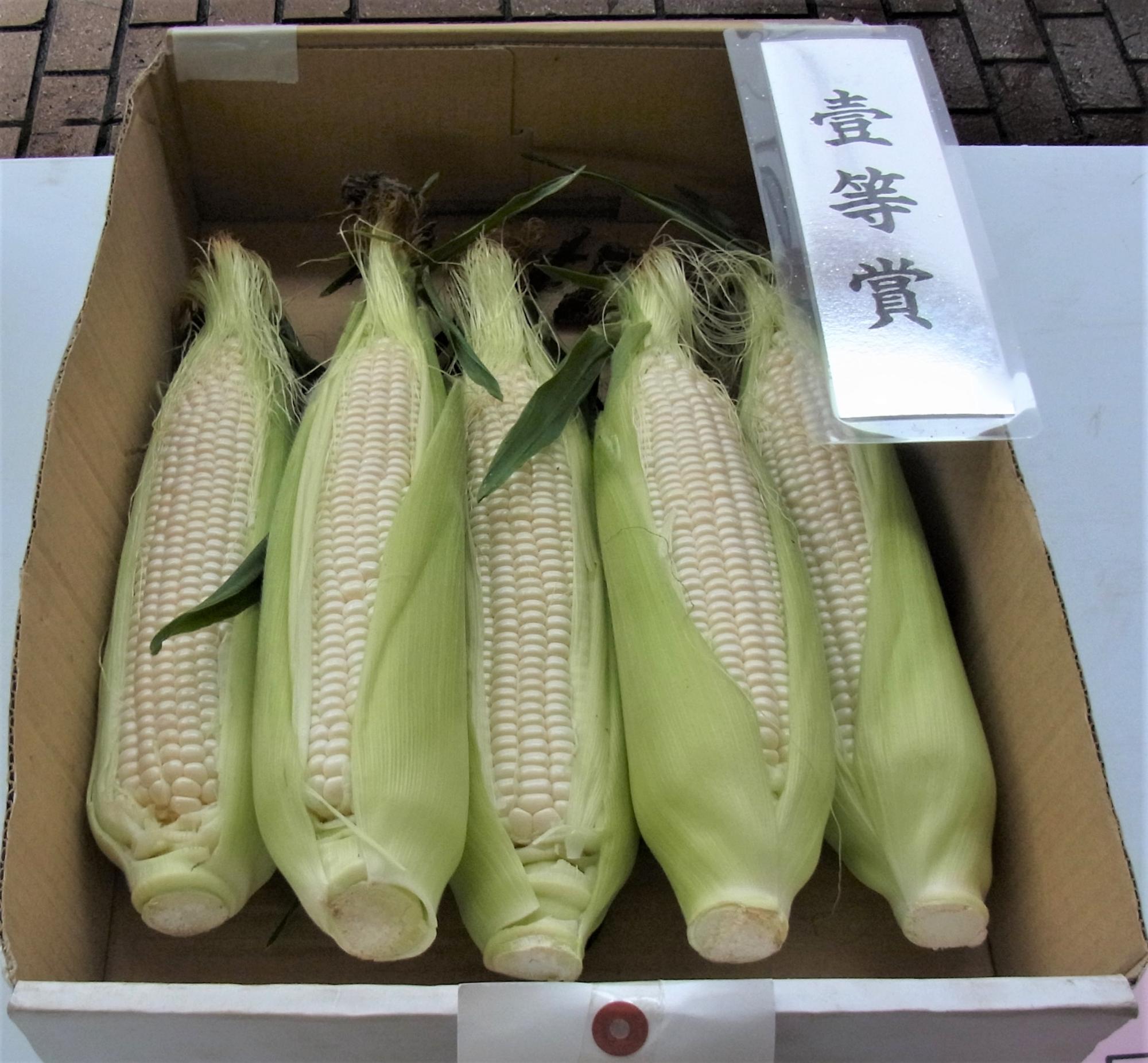 一等賞を取ったとうもろこし