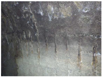 大和市の緊急度1と判定された 管路の鉄筋露出状況（拡大）