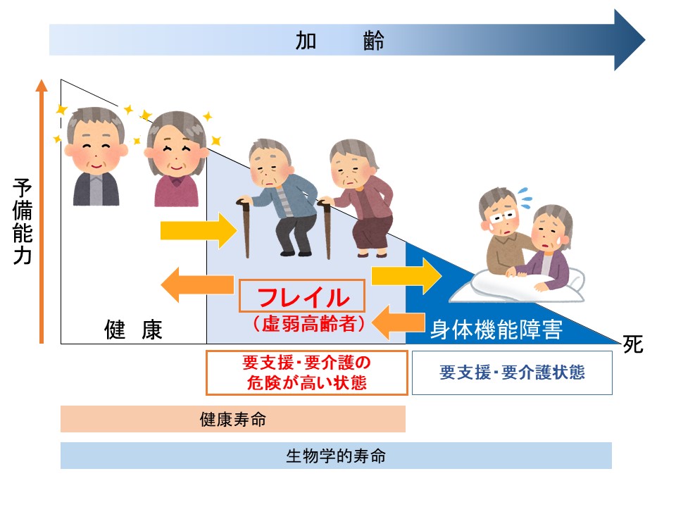 加齢による予備能力の低下の段階を示したイメージ図2