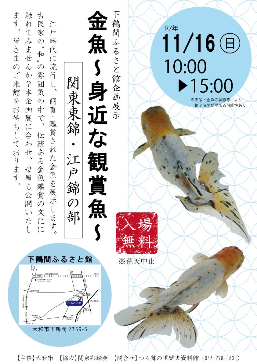 下鶴間ふるさと館企画展示「金魚～身近な観賞魚～ 関東東錦・江戸錦の部」告知ポスター