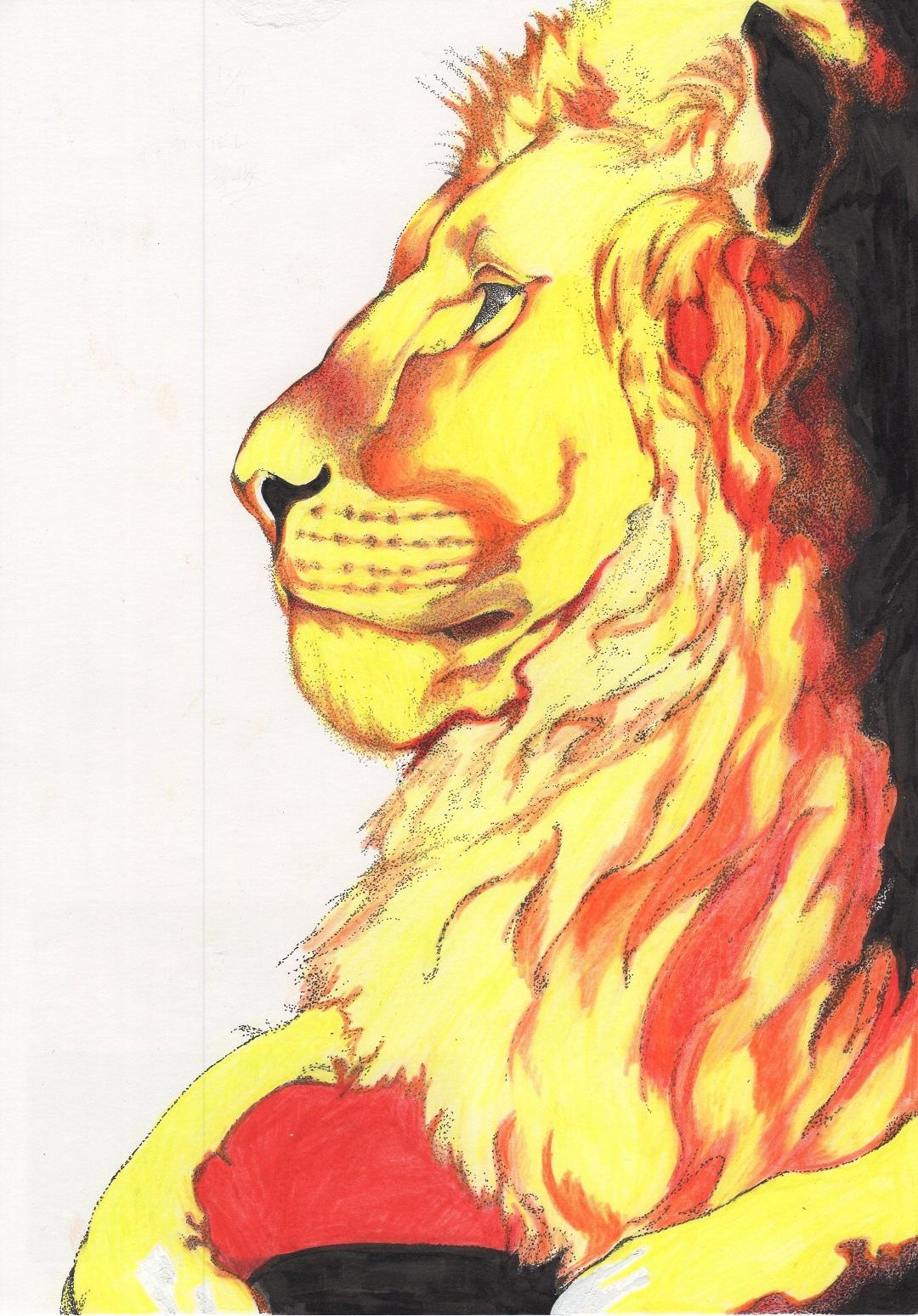 黄金色のライオンが遠くを見ている横顔のイラスト