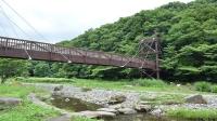 生い茂った森から橋が架かっている写真