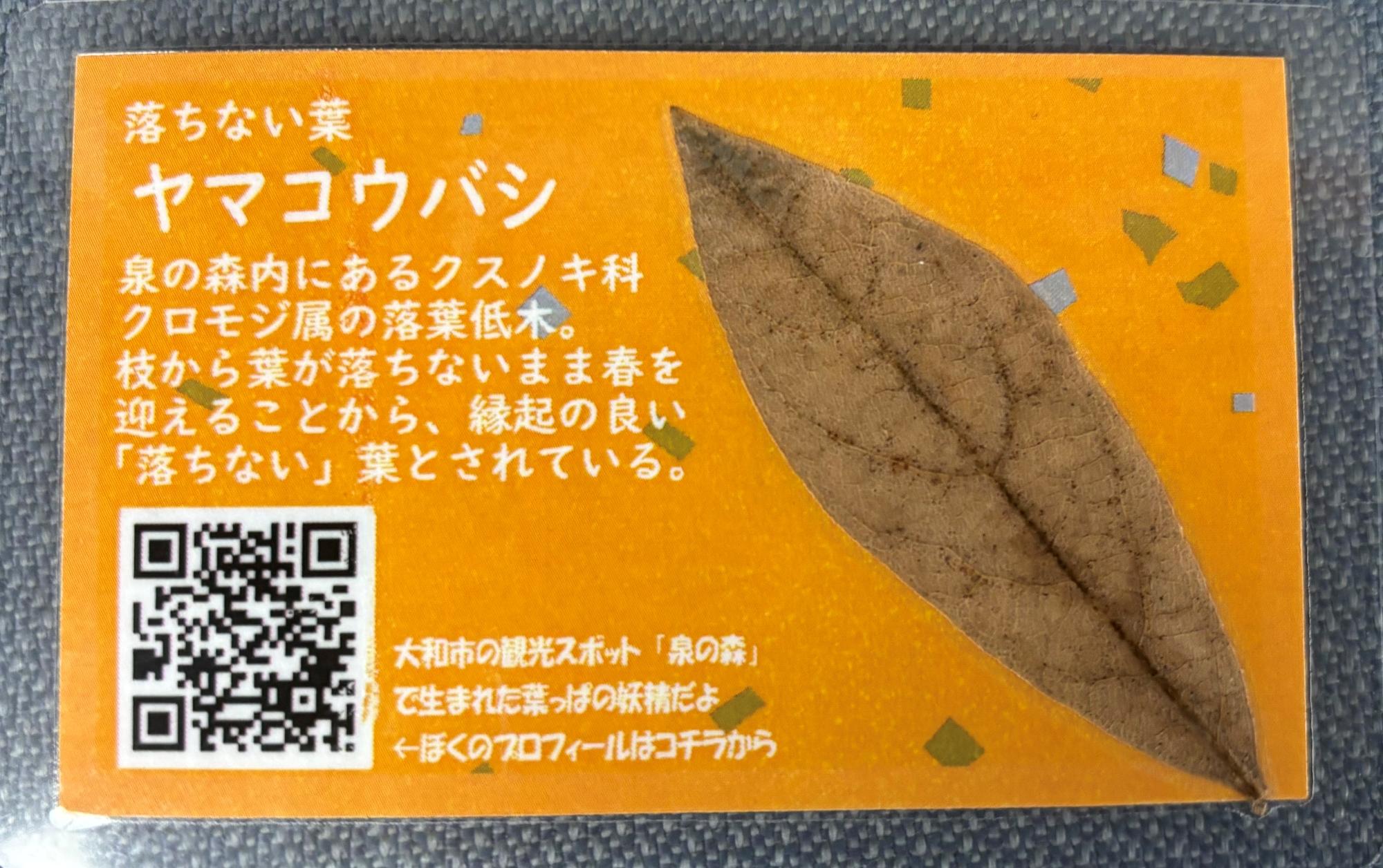 受験生応援グリーティングカード裏