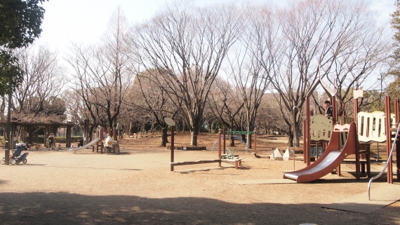 手前には滑り台やうんていなどの遊具、奥には枯れた木が並んでいる公園の写真