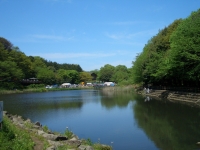 青空の下、池の周りに森林の緑が広がる写真
