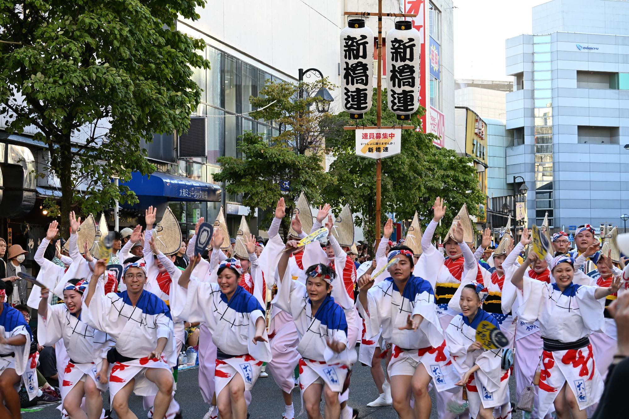 神奈川大和阿波おどり本大会の様子