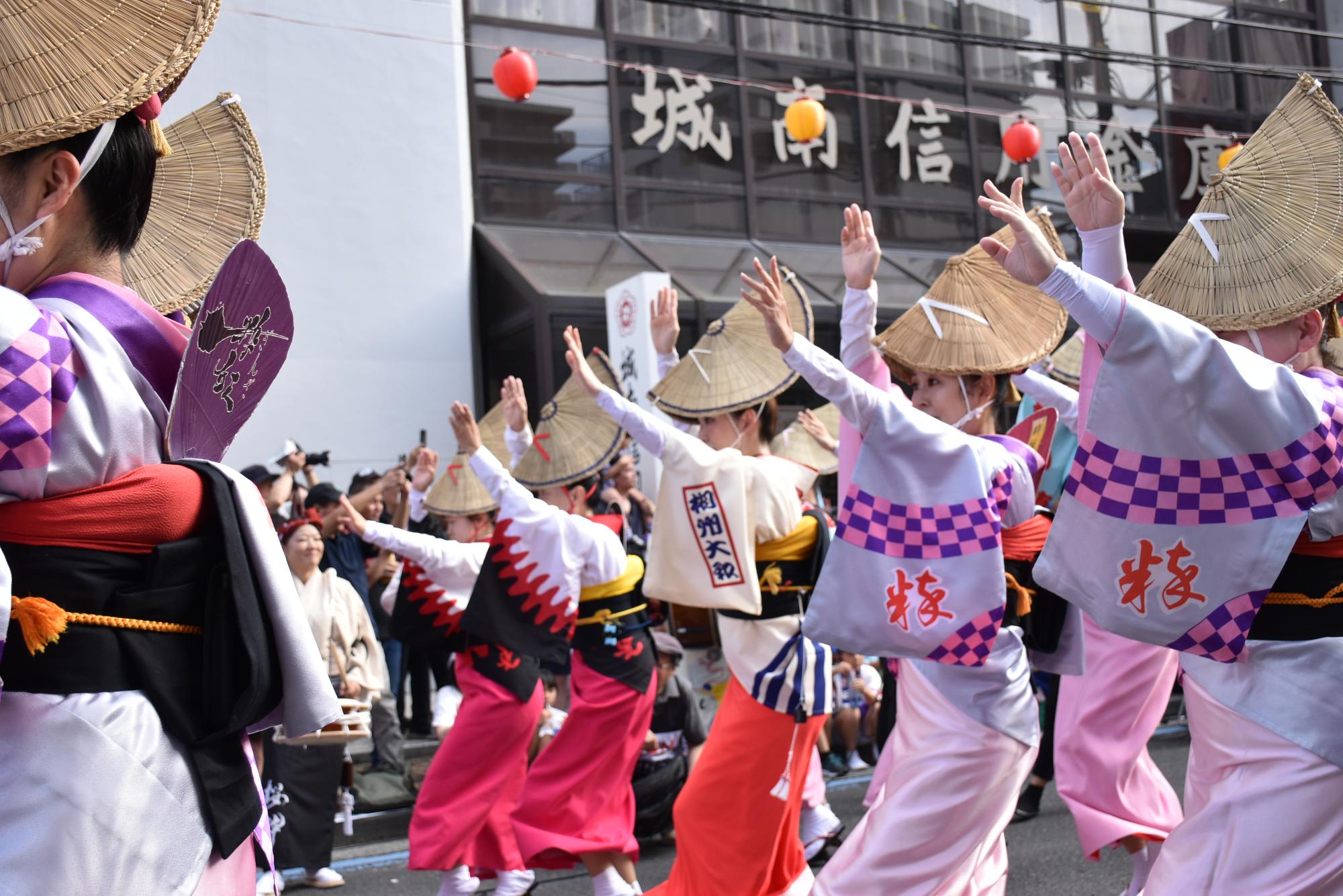 awaodori11