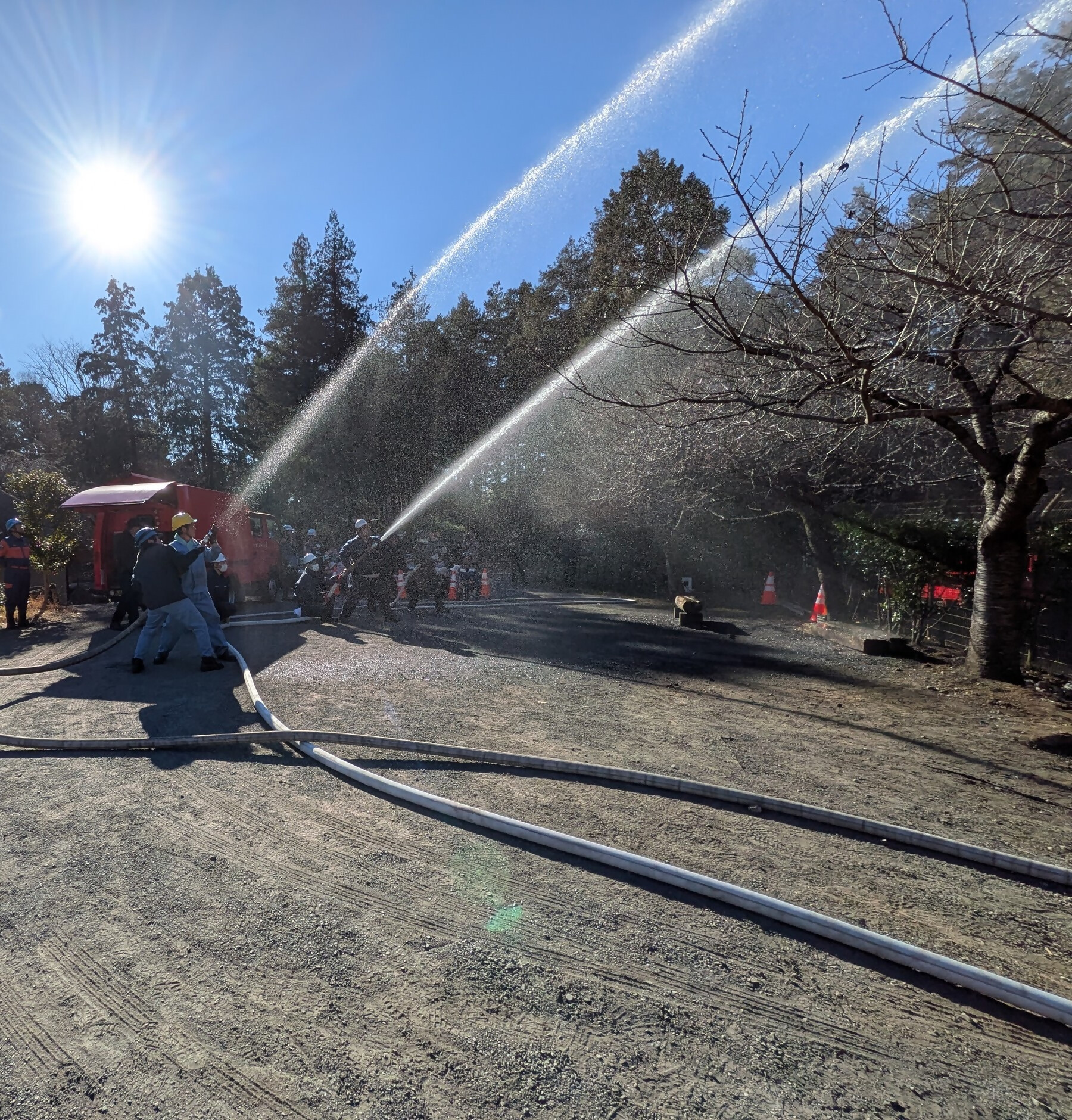 雑木林への放水