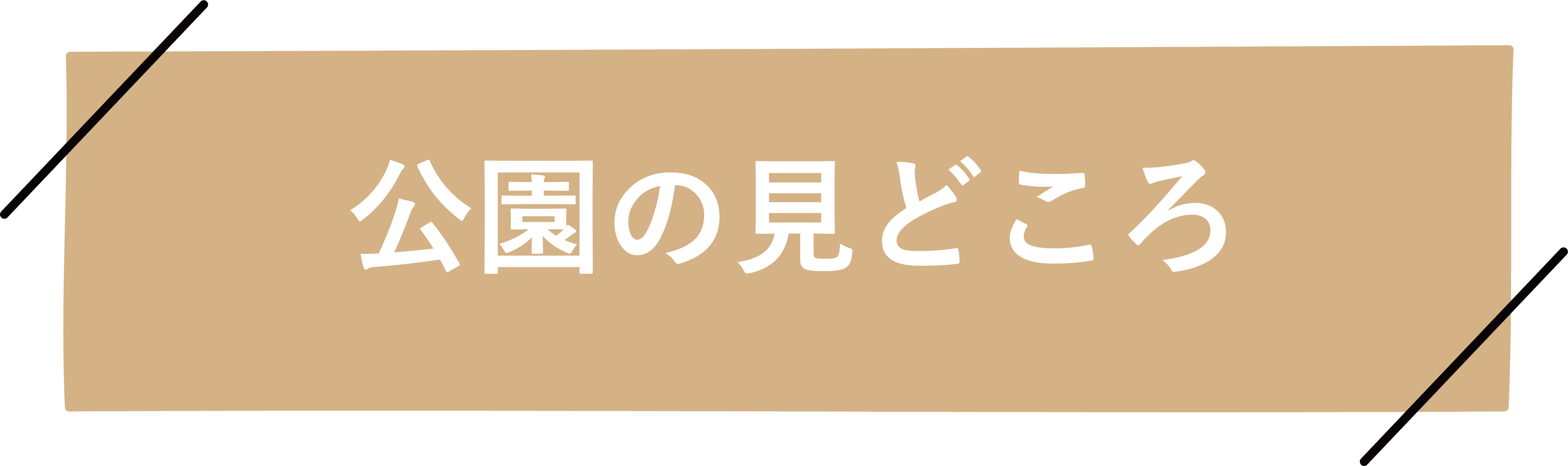 公園のみどころ